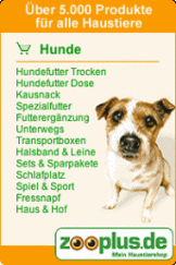 Hier INFO