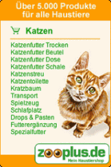 Hier INFO